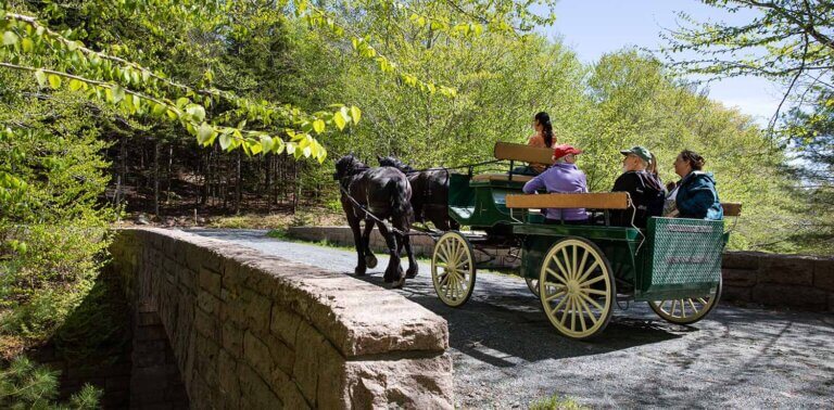 Wheelchair Accessible Carriage funded by the Diana Davis Spencer Foundation crosses over the Stanley Brook carriage road bridge in Seal Harbor. (Photo by Julia Walker Thomas/Friends of Acadia) Wheelchair Accessible Carriage funded by the Diana Davis Spencer Foundation crosses over the Stanley Brook carriage road bridge in Seal Harbor. (Photo by Julia Walker Thomas/Friends of Acadia)