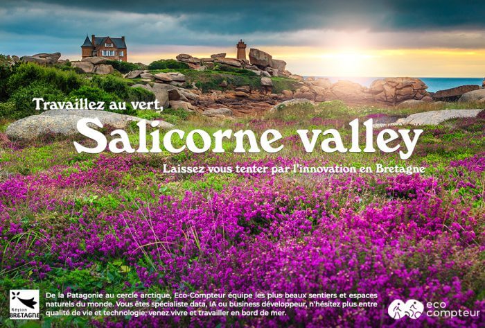 Salicorne Valley - Caraibzh - Kerlifornie - Galapagozh - Bretagne