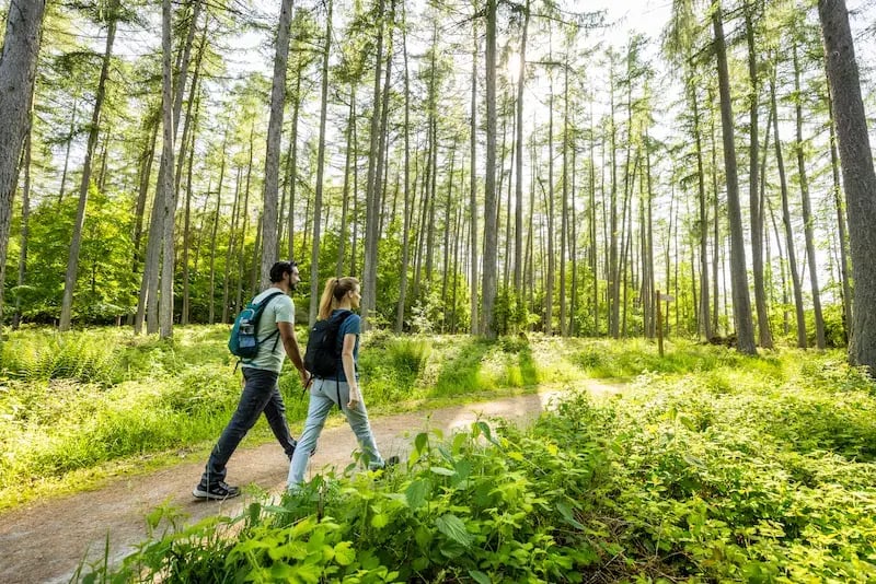 Visiteurs environnement naturel