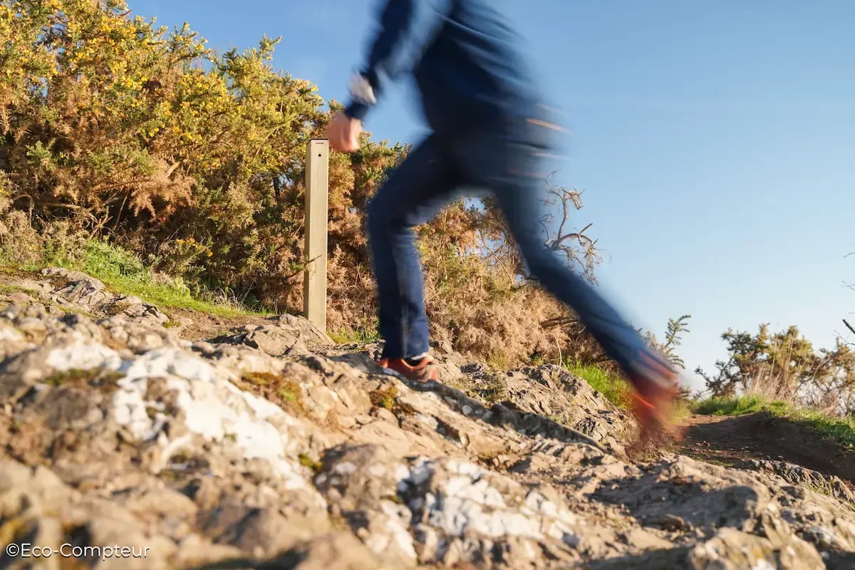Comptez les visiteurs en environnement naturel.