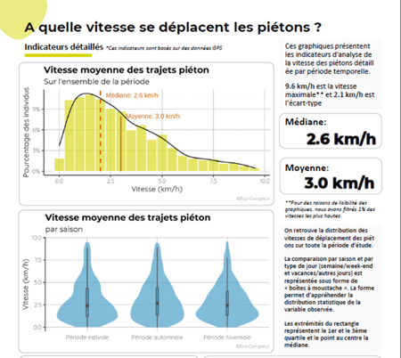 Extrait du rapport VisitorFlow pour le CD93 sur la marche en ville