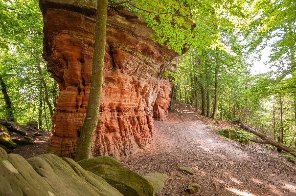 vosges-du-nord-colorado-alsacien