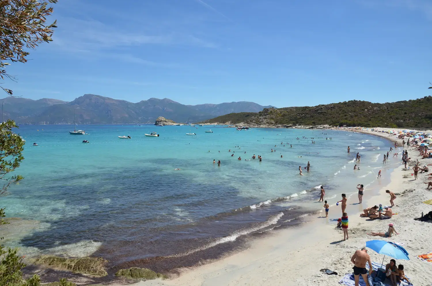 Passer du ressenti à une estimation robuste de fréquentation : comment le Conservatoire du Littoral a mesuré la fréquentation de 600 sites naturels en France
