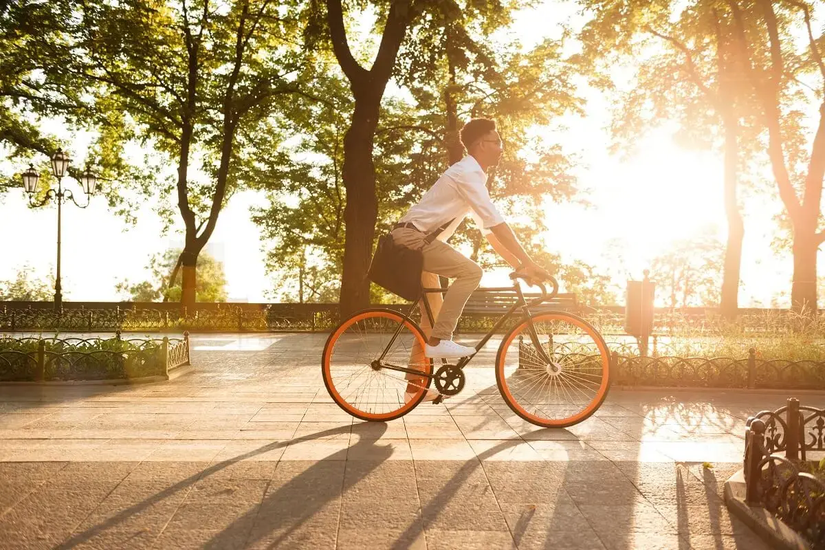 Analyse de fréquentation piéton/vélo : les dernières fonctionnalités Eco-Visio à découvrir