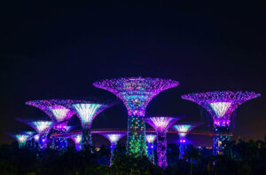 The park Gardens by the bay in Singapore has chosen Eco-Counter to analyse the visitor flows in the park.